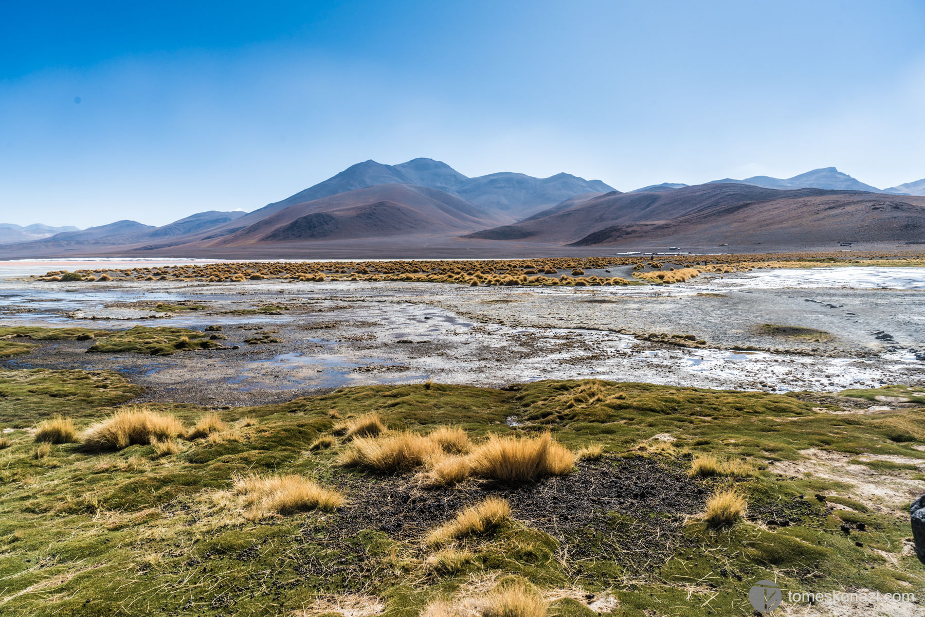 Surroundings of Laguna Colorada, Bolivia | Tom Eskenazi Photography